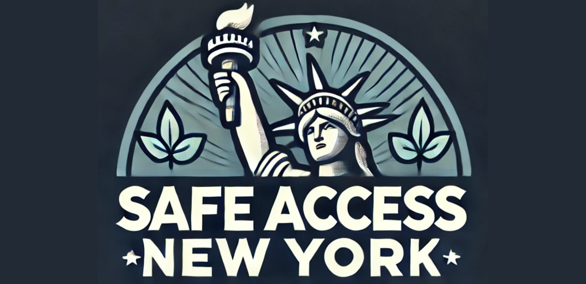 Safe Access New York